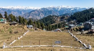 Land Parcel near Naldhera Golf Grounds -Shimla